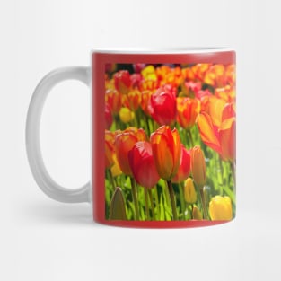 A full frame of tulips Mug